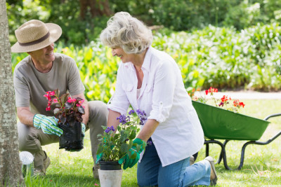 older couple in garden