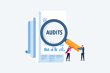 audits icon