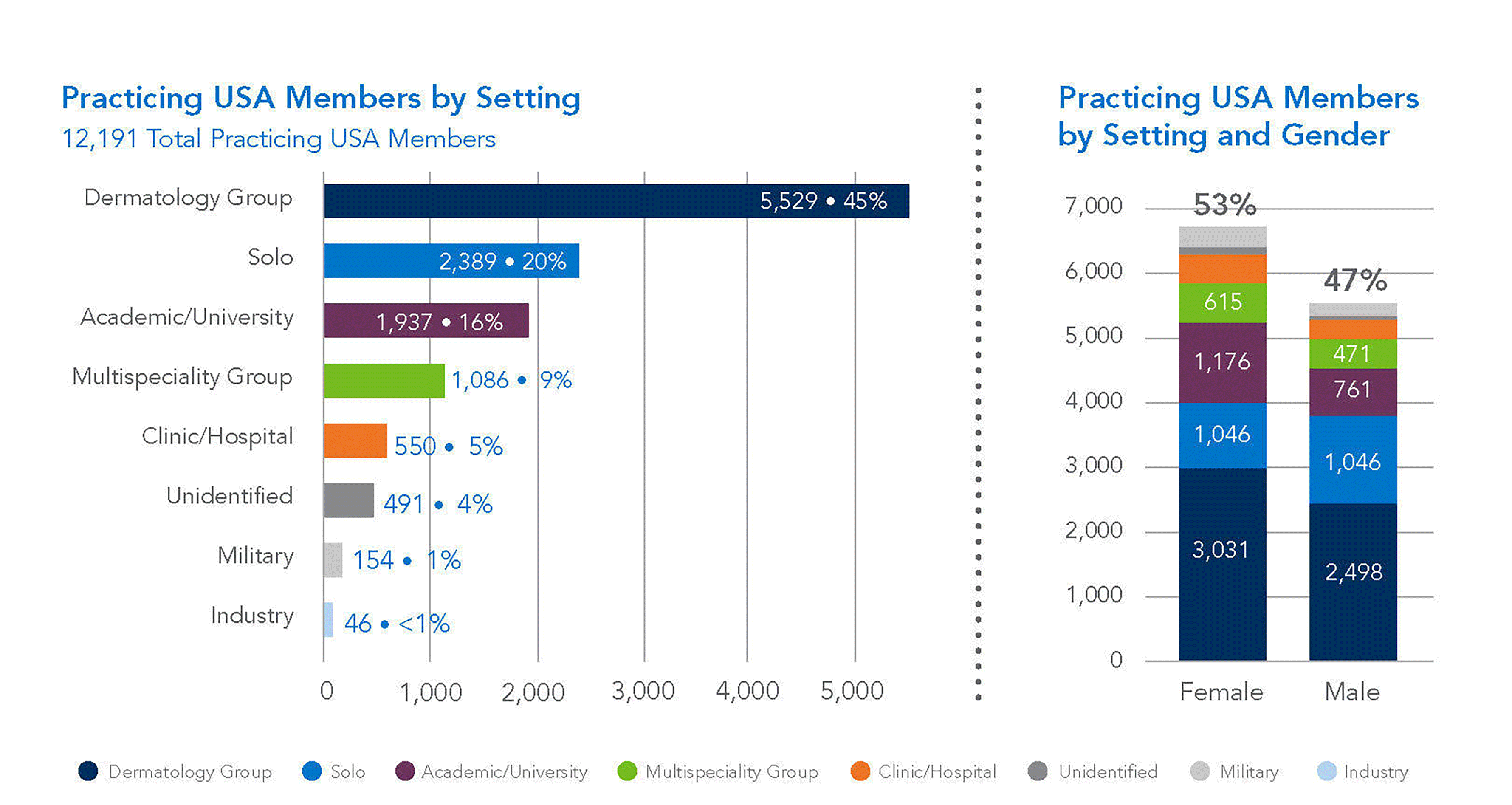 AAD members by practice setting and gender