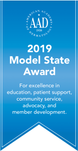 Model State Award ribbon