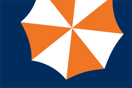 Umbrella icon